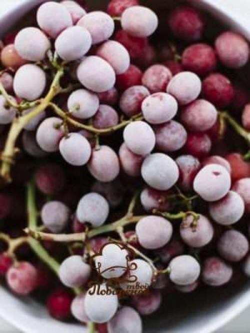 Можно ли делать вино из винограда после заморозков. Как сделать вино из мороженного винограда