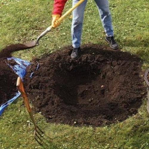 Посадка яблонь в короба. Где посадить яблоню на участке?