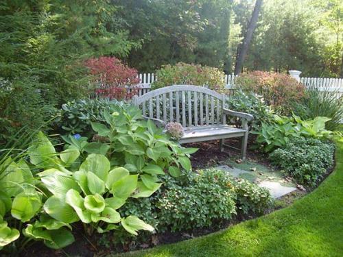 Тенелюбивые растения для огорода. Что посадить в тенистом месте или, какие растения относятся к теневыносливым