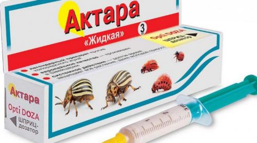 Как бороться с гусеницами на капусте народными средствами. Химия против гусениц 04 Как бороться с гусеницами на капусте народными средствами. Химия против гусениц 04