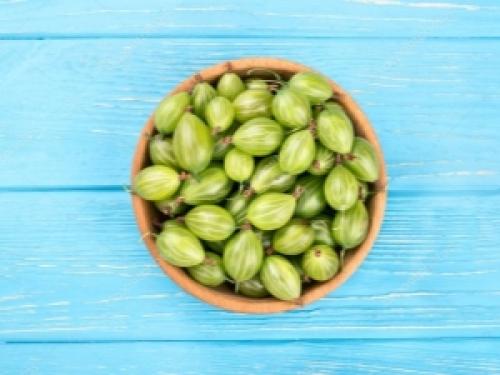 Крыжовник Уральский изумруд описание сорта. Описание сорта Уральский изумруд 01