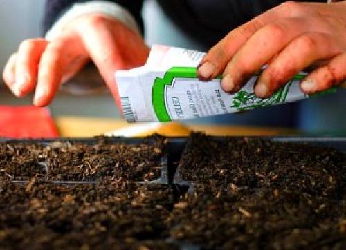 Земля для рассады перцев и томатов. Смешиваем компоненты