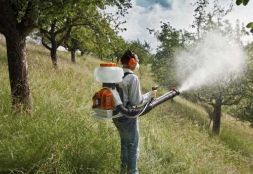 Чем подкармливать осенью яблони. Правила подкормки 09 Чем подкармливать осенью яблони. Правила подкормки 09