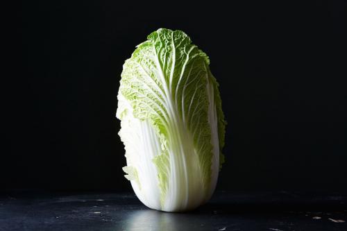 Как вырастить дома китайскую капусту. Биологически характеристики вида 04 Как вырастить дома китайскую капусту. Биологически характеристики вида 04