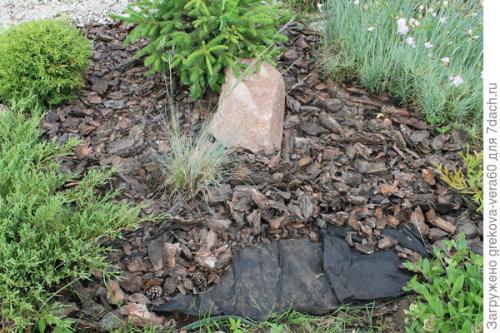 Сосновая кора для мульчирования. Как я сделала мульчу из коры за копейки