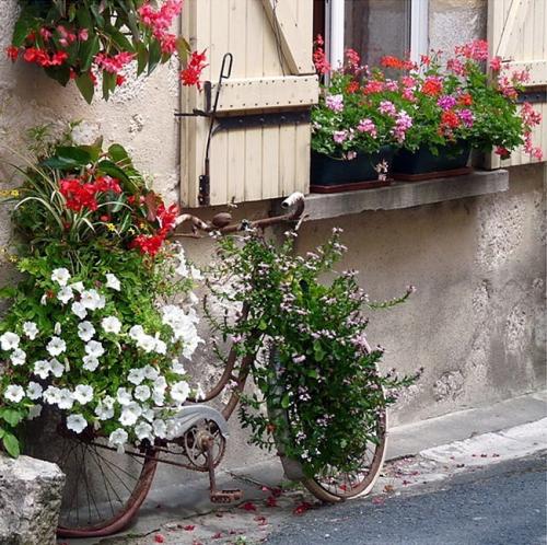 ВТОРАЯ ЖИЗНЬ ВЕЛОСИПЕДА 05