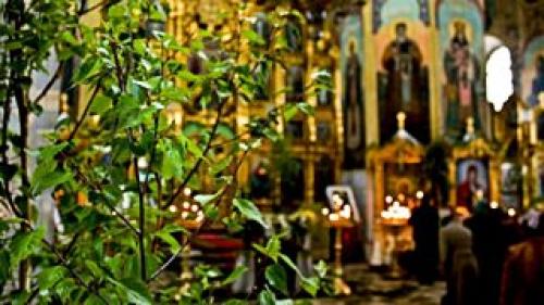 Можно ли на Троицу работать в огороде ответ священника. Можно ли работать в Троицу: ответ священника 07 Можно ли на Троицу работать в огороде ответ священника. Можно ли работать в Троицу: ответ священника 07