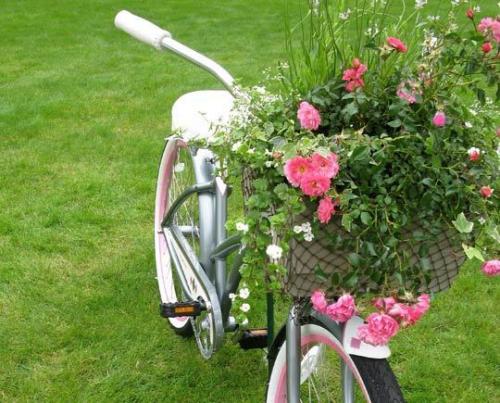 ВТОРАЯ ЖИЗНЬ ВЕЛОСИПЕДА 04