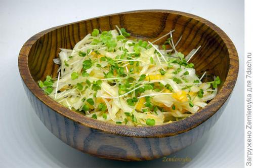 Микрозелень в банке. Микрозелень и проростки - живая еда на подоконнике