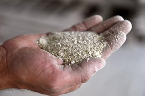 Летняя подкормка груши. Органические удобрения