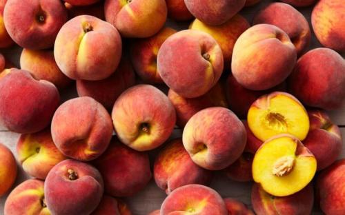 Когда открывать персик весной. Посадка персика