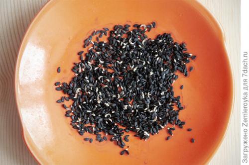 Микрозелень в банке. Микрозелень и проростки - живая еда на подоконнике