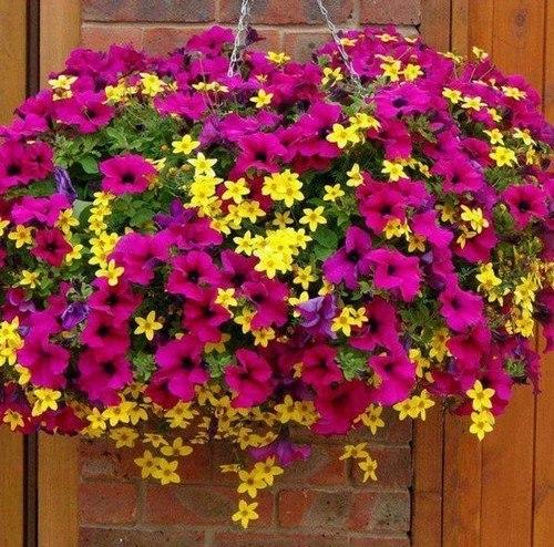 Подвесные клумбы 04