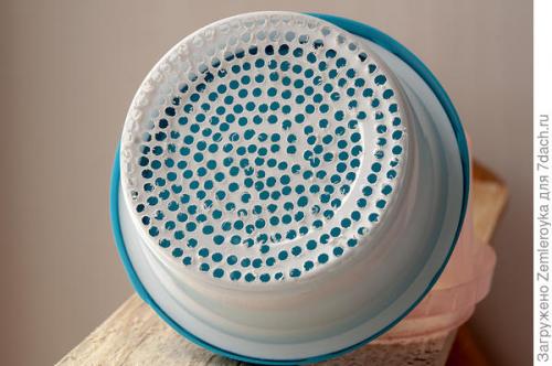 Микрозелень в банке. Микрозелень и проростки - живая еда на подоконнике