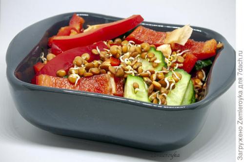 Микрозелень в банке. Микрозелень и проростки - живая еда на подоконнике