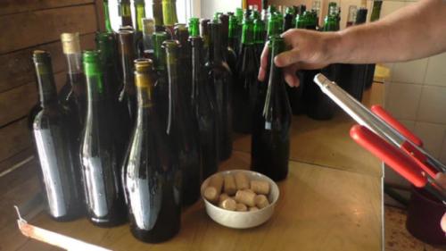 Что можно сделать из невызревшего винограда. Можно ли делать вино из недозревшего винограда