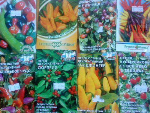 Декоративный перец в горшке. Необходимые агротехнические условия 02