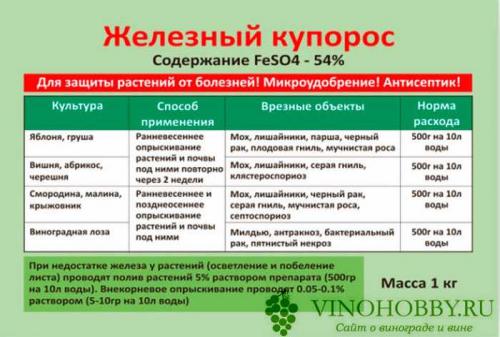 Железный купорос для винограда летом. Железный купорос для винограда