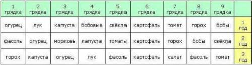Соседство на огороде таблица. Определяем оптимальное соседство овощей на грядках — таблицы и правила севооборота