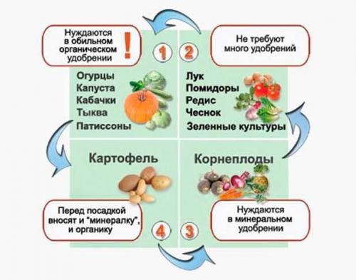 Соседство на огороде таблица. Определяем оптимальное соседство овощей на грядках — таблицы и правила севооборота