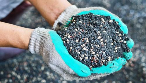 Подкормка груши осенью удобрениями. Для чего нужна осенняя подкормка яблони 05