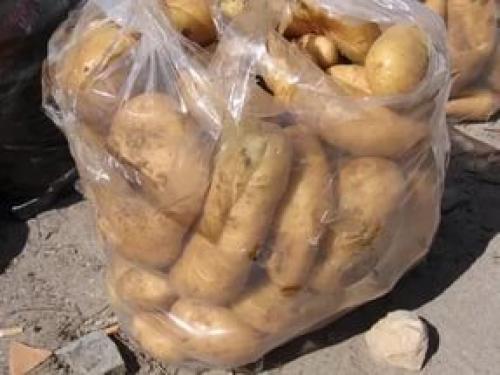 Хранение картофеля в холодильнике. Картофель в холодильнике?