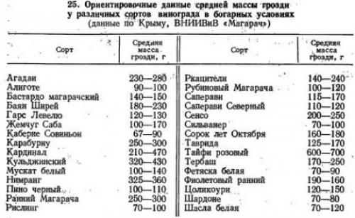 Расчет урожайности винограда. Определение урожая винограда и составление плана уборки