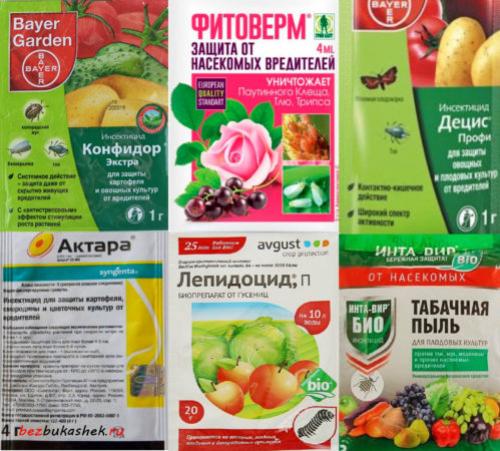 Народное средство от гусеницы на капусте. Народные способы 08