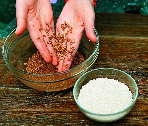 Шелуха подсолнечника, как удобрение. Полезные свойства лузги 17 Шелуха подсолнечника, как удобрение. Полезные свойства лузги 17