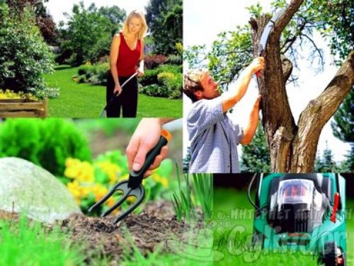 Мототехника для огорода и сада. Техника для обработки земли 08 Мототехника для огорода и сада. Техника для обработки земли 08