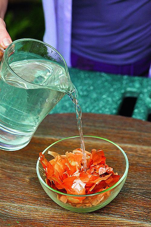 Шелуха подсолнечника, как удобрение. Полезные свойства лузги 14 Шелуха подсолнечника, как удобрение. Полезные свойства лузги 14