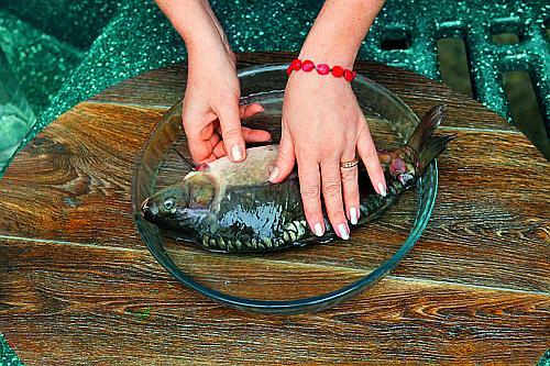 Шелуха подсолнечника, как удобрение. Полезные свойства лузги 20 Шелуха подсолнечника, как удобрение. Полезные свойства лузги 20