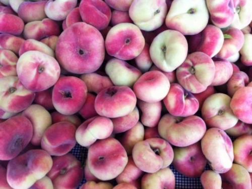 Гибрид инжира и персика. Характеристика плоского персика 10