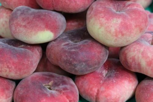 Гибрид инжира и персика. Характеристика плоского персика 09