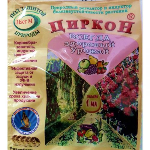 Как правильно посадить рассаду помидор в домашних условиях. Подготовка почвы. Высадка семян