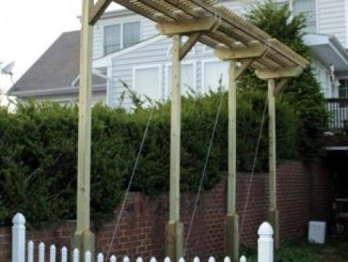 Гибрид персика и яблока. Гибрид сливы, абрикоса и персика