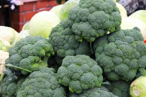 Капуста семена лучшие сорта для открытого грунта. Лучшие поздние сорта капусты для длительного хранения 10 Капуста семена лучшие сорта для открытого грунта. Лучшие поздние сорта капусты для длительного хранения 10