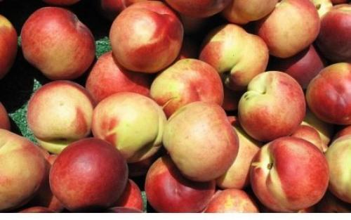 Гибрид инжира и персика. Характеристика плоского персика 05