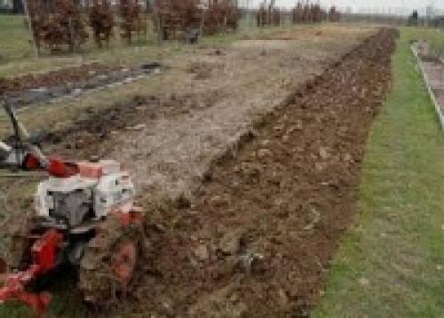 Что посеять под пары. «Земля под паром» - что это и как правильно?