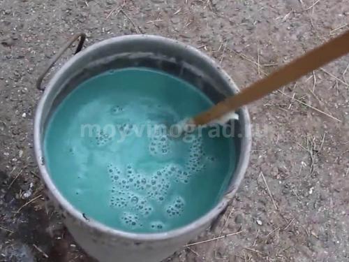 Опрыскивание винограда карбамидом осенью. Чем обрабатывать виноград осенью?