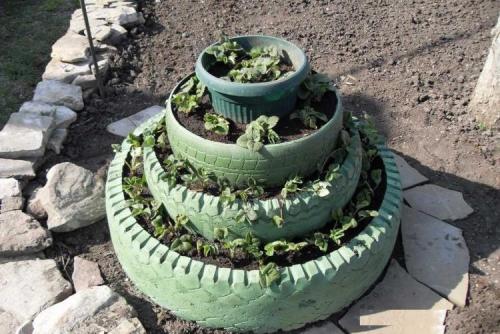 Клубника в мешках из под сахара. Выращивание клубники в мешках – выгодный бизнес