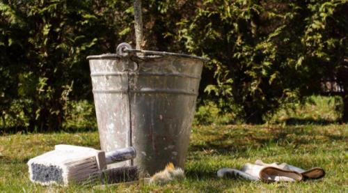 Чем побелить яблони осенью. Предназначение осенней побелки 05