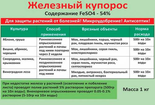 Мох на участке, что это значит. Как избавиться от мха на земле в огороде: народные средства и химия 01