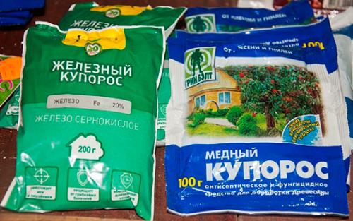 Мох на участке, что это значит. Как избавиться от мха на земле в огороде: народные средства и химия 02