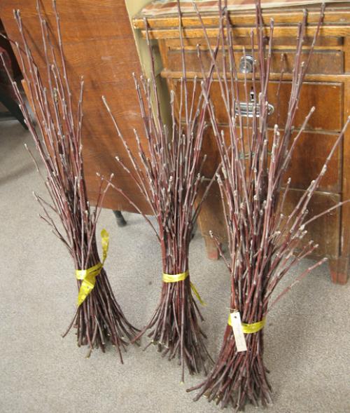 Можно ли прививать яблоню осенью. Что можно использовать в качестве подвоя 03