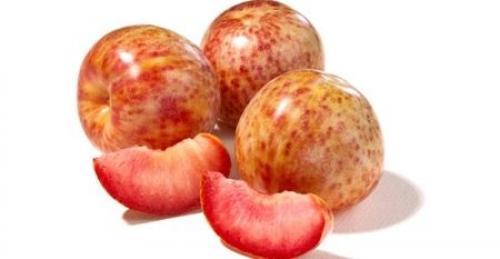 Гибрид персика и инжира. Характерные особенности инжирного персика 03 Гибрид персика и инжира. Характерные особенности инжирного персика 03