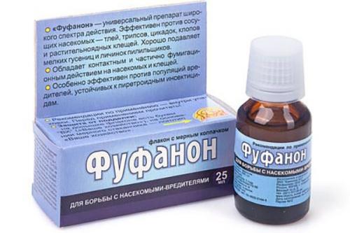 Гусеницы на капусте чем обработать. Как быстро и эффективно обработать капусту от слизней и гусениц