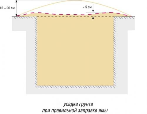 Как правильно посадить яблоню с прививкой. Посадка яблони: как правильно