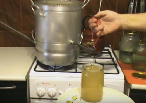 Как закупорить виноград на зиму. Как приготовить сок из винограда в соковарке: