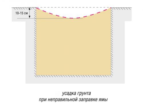 Как правильно посадить яблоню с прививкой. Посадка яблони: как правильно